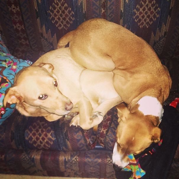 You Won't Even Notice I'm Here...