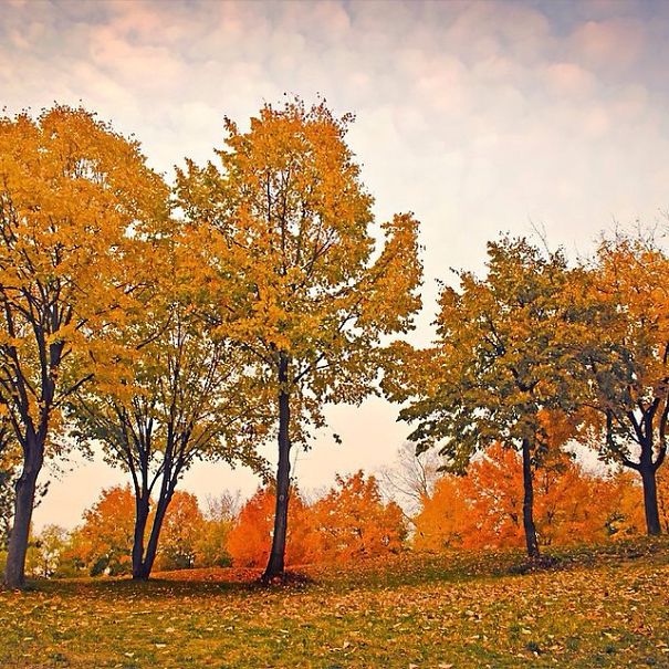 Stunning Instagram Pictures Of Belgrade I Took In The Last 3 Years Stunning Instagram Pictures Of Belgrade I Took In The Last 3 Years