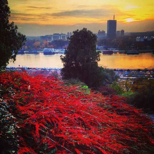 Stunning Instagram Pictures Of Belgrade I Took In The Last 3 Years Stunning Instagram Pictures Of Belgrade I Took In The Last 3 Years