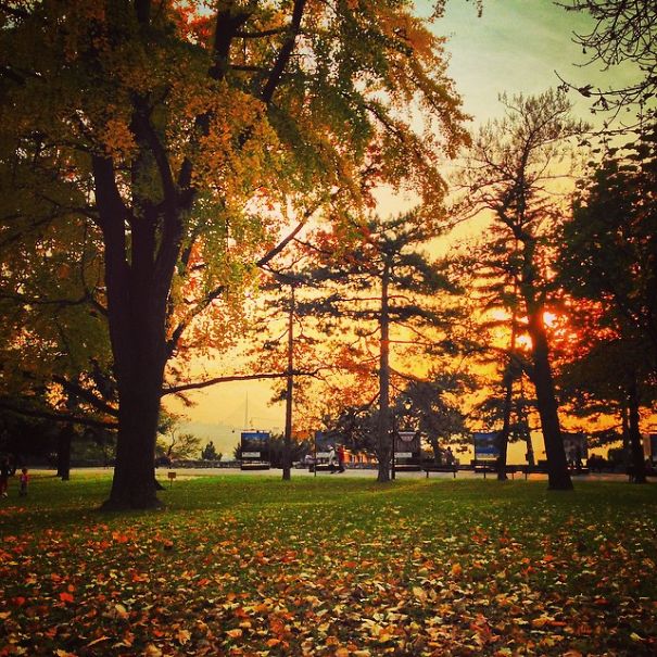 Stunning Instagram Pictures Of Belgrade I Took In The Last 3 Years Stunning Instagram Pictures Of Belgrade I Took In The Last 3 Years