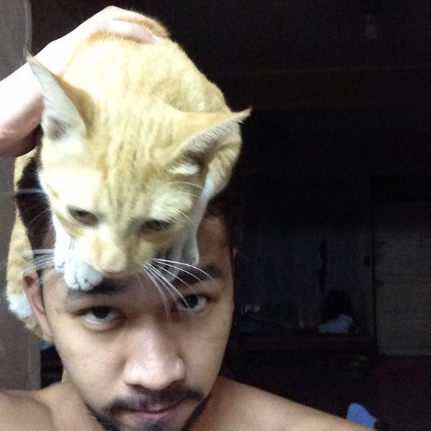 "put Me Down, Human."