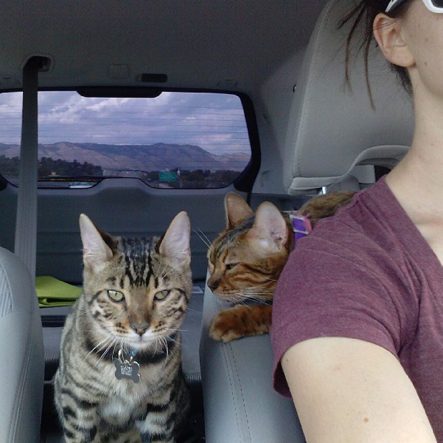 My Photos Of Me Slowly Becoming A Crazy Cat Lady