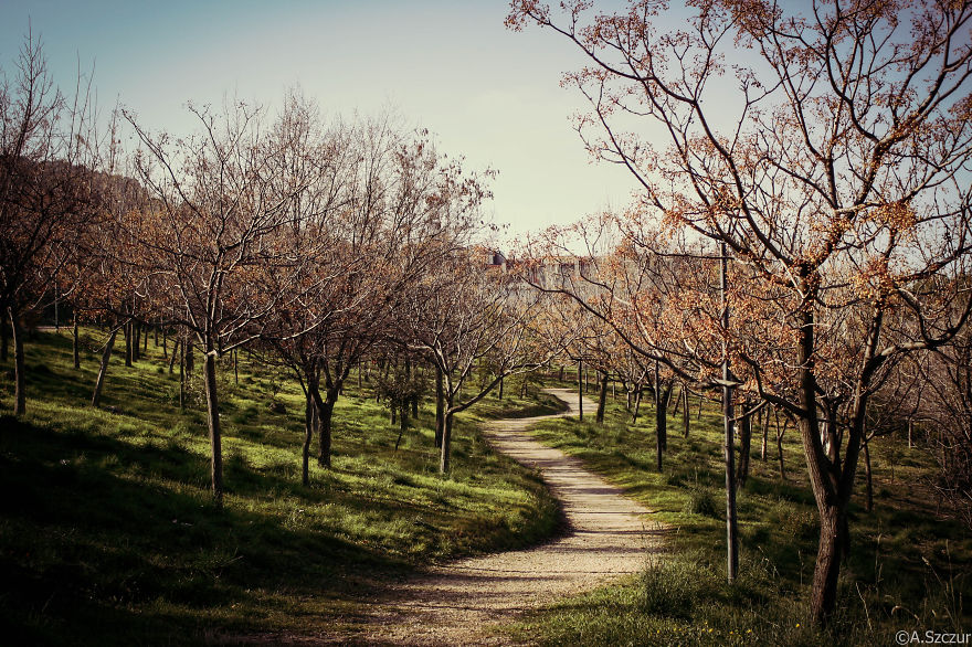 Jaen, Andalusia, Spain