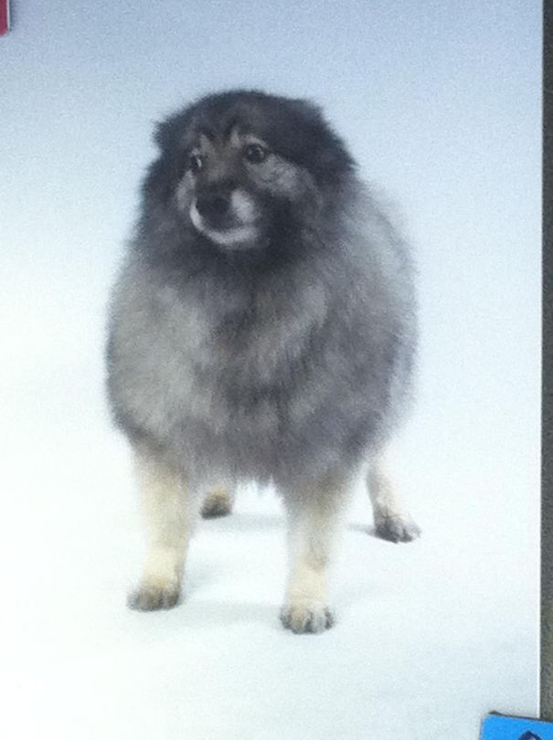 Rip Giorgio 2001-2014