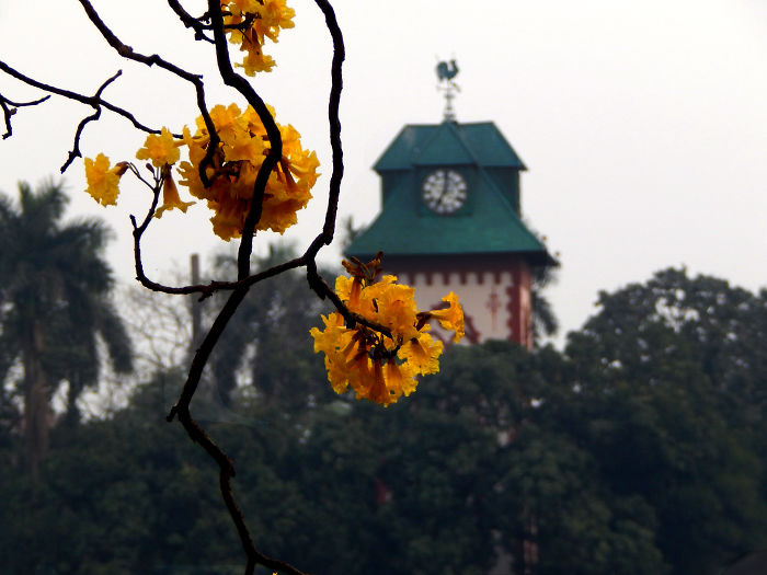 Dash Of Beauty Around The Indian Institute Of Engineering Science & Technology, Howrah, India