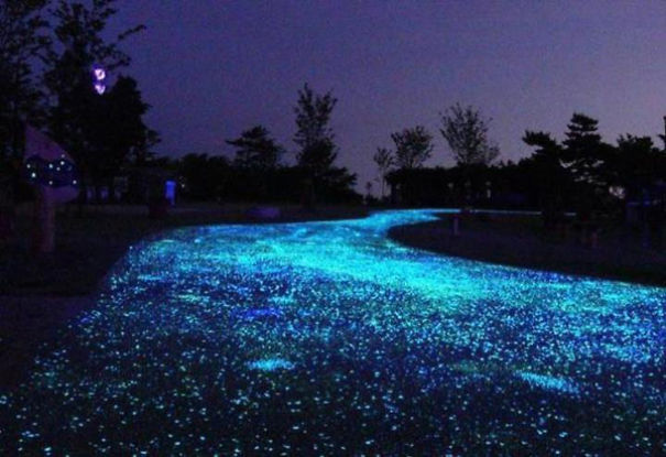 Glow In The Dark Driveway