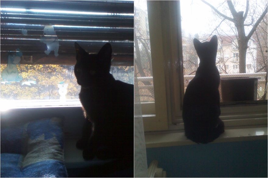 Eddie (3 Months And 9 Months)