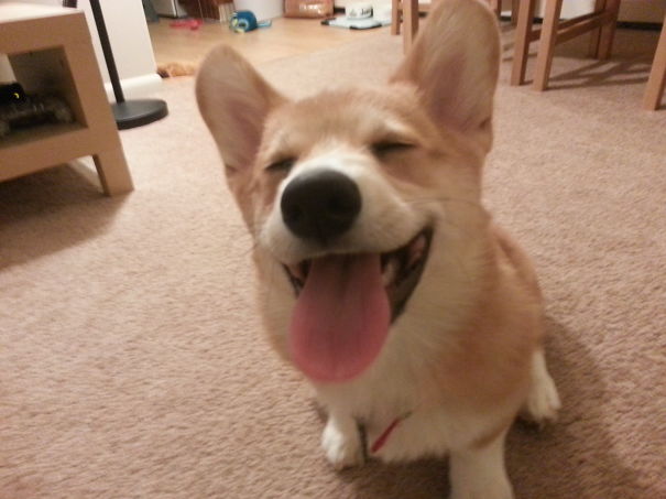 Jean-luc Picorg Is Ready For The Weekend.