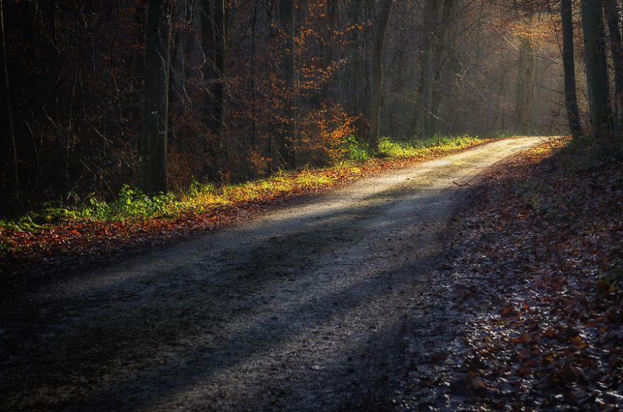 The Mysrerious Way On Forest Halatte, France