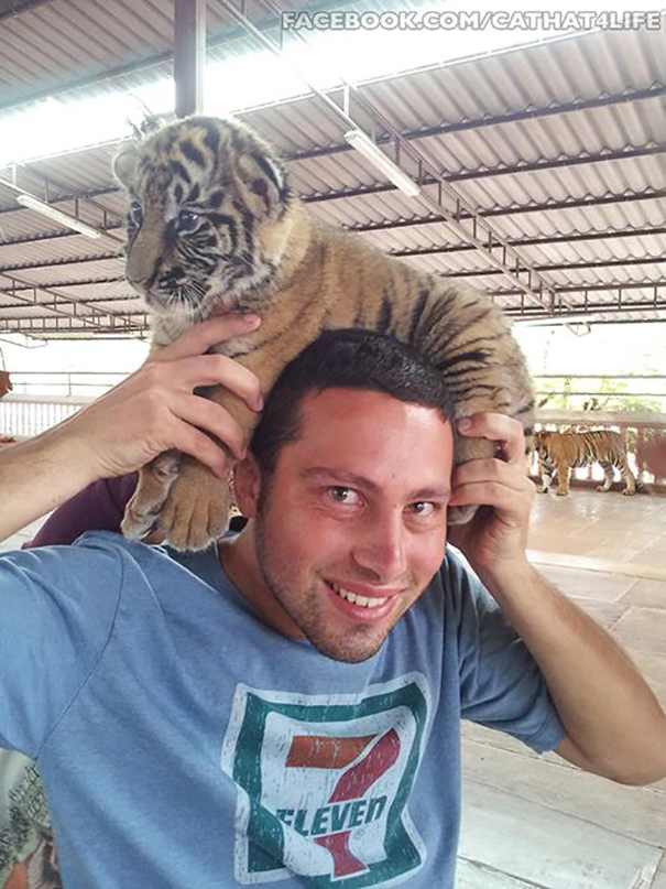 Tiger Hat!