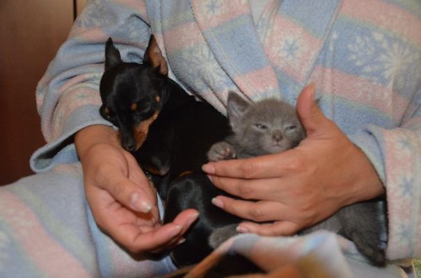 Cleo And Sinatra = )