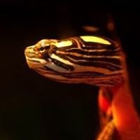 michael_baker_52459615 avatar