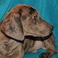 michellereichmann avatar