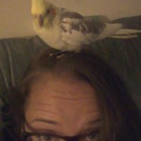 tara_edwards_397 avatar