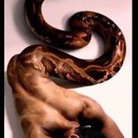 ricky_lim_543 avatar