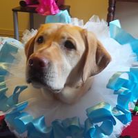 michele_macdonald_52 avatar