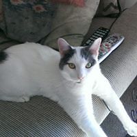 julie_coriz_5 avatar