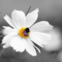 maxyfishface78 avatar