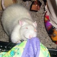 kristen_strong_75 avatar