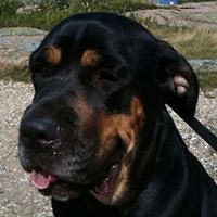 kit_white_581 avatar