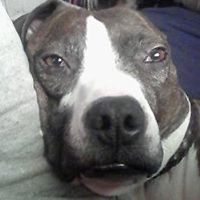 54d1778041a12 avatar