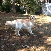 sharon_eatmon_3 avatar