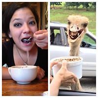 valerilambert avatar