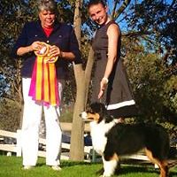 shirley_frumkin avatar