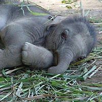 debbie_thompson_946 avatar