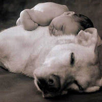 vladiagilerriez avatar