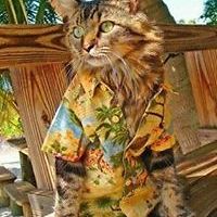 karen_adams_716 avatar