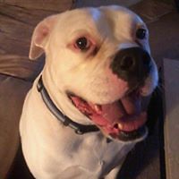 melvis_quintana avatar