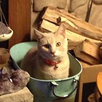 megan_k_degraaf avatar