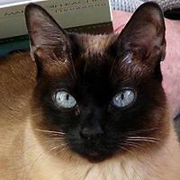 54d4b98164467 avatar