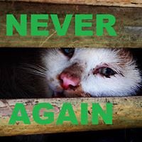 susanne_sus_1 avatar