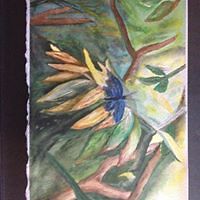 richelle_bergflanagan avatar