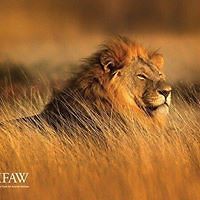 linda_rhyne_39 avatar