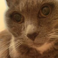 sharon_barry_733 avatar