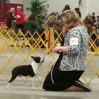 patty_sulzberger avatar