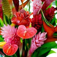 hedyjane_guds avatar