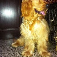 54d77aa9a7d21 avatar