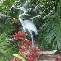 nancy_schaeffer_75 avatar