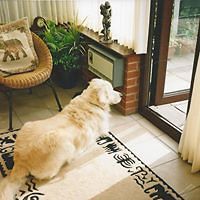 joan_brocklehurst avatar