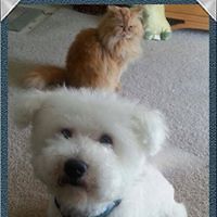 TiffenyChurchOskins avatar