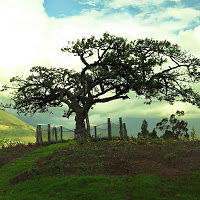 elsamgonzalez avatar