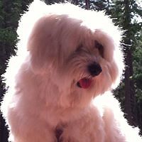 54d936859e1e1 avatar