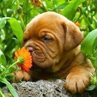 evamarie_labuschagne_1 avatar