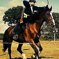 IntensiveClaire avatar