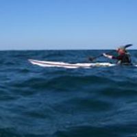 kaat_sloggatt avatar