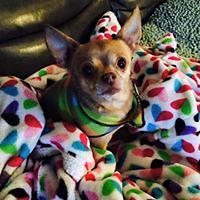 susie_sullivan_583 avatar